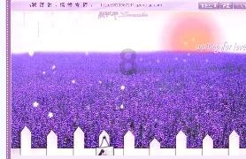美味食物找星星