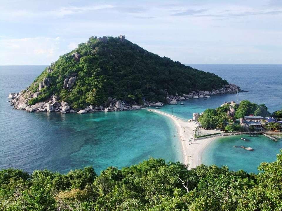 救援甜蜜熊