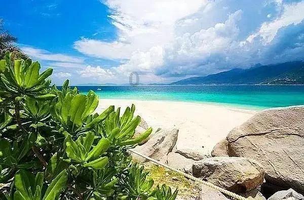 救援鹦鹉