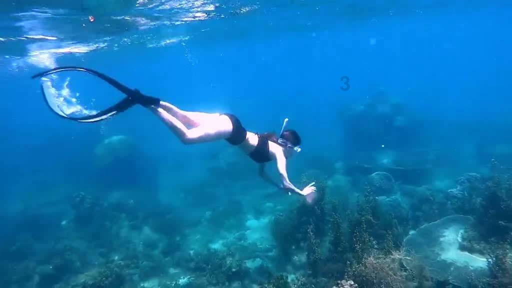 喜羊羊与美羊羊历险记3