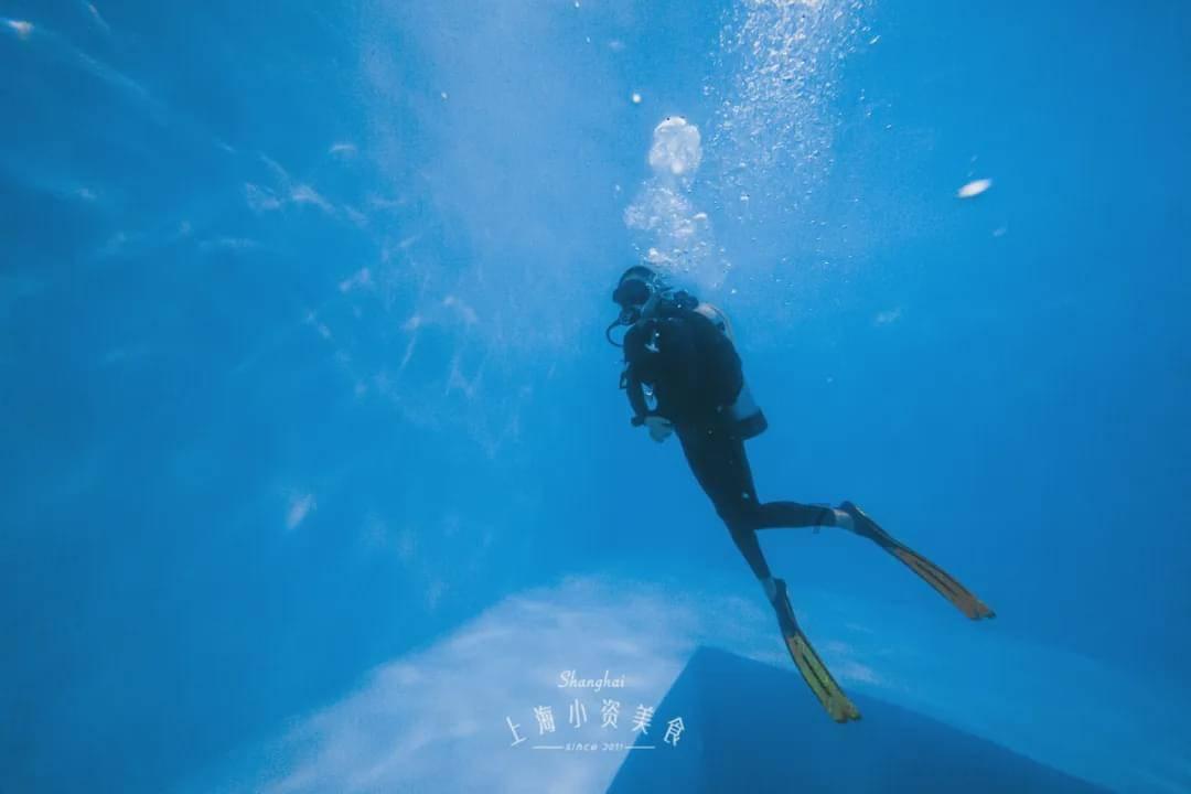 小猫钓鱼游戏龙王版有船
