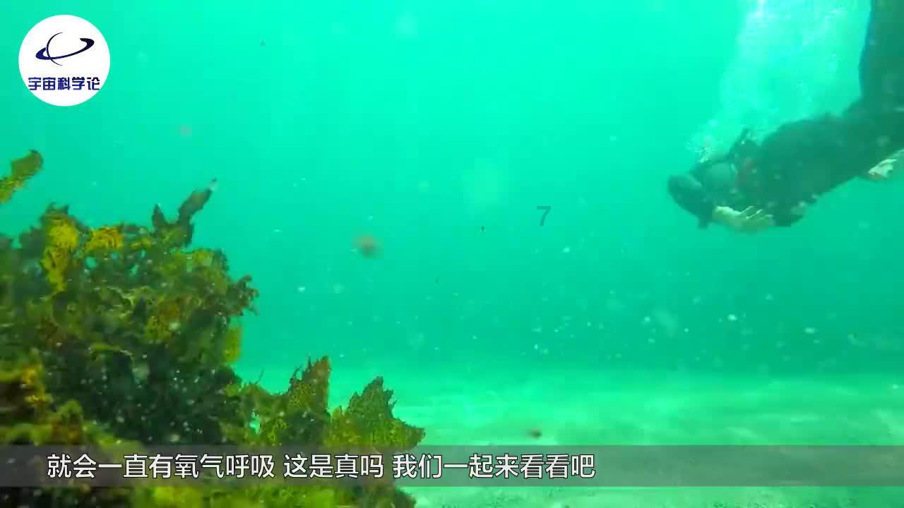 探探猫历险记2