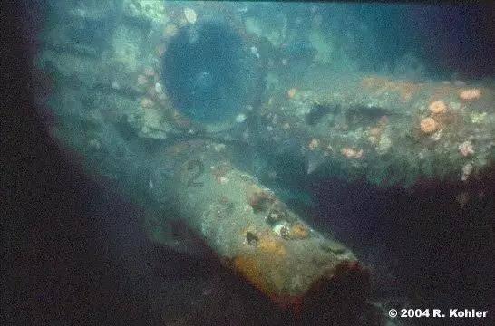 辐射避难所