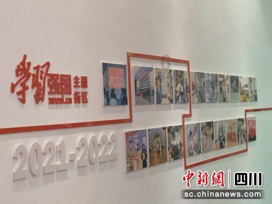 破碎的动物图形3