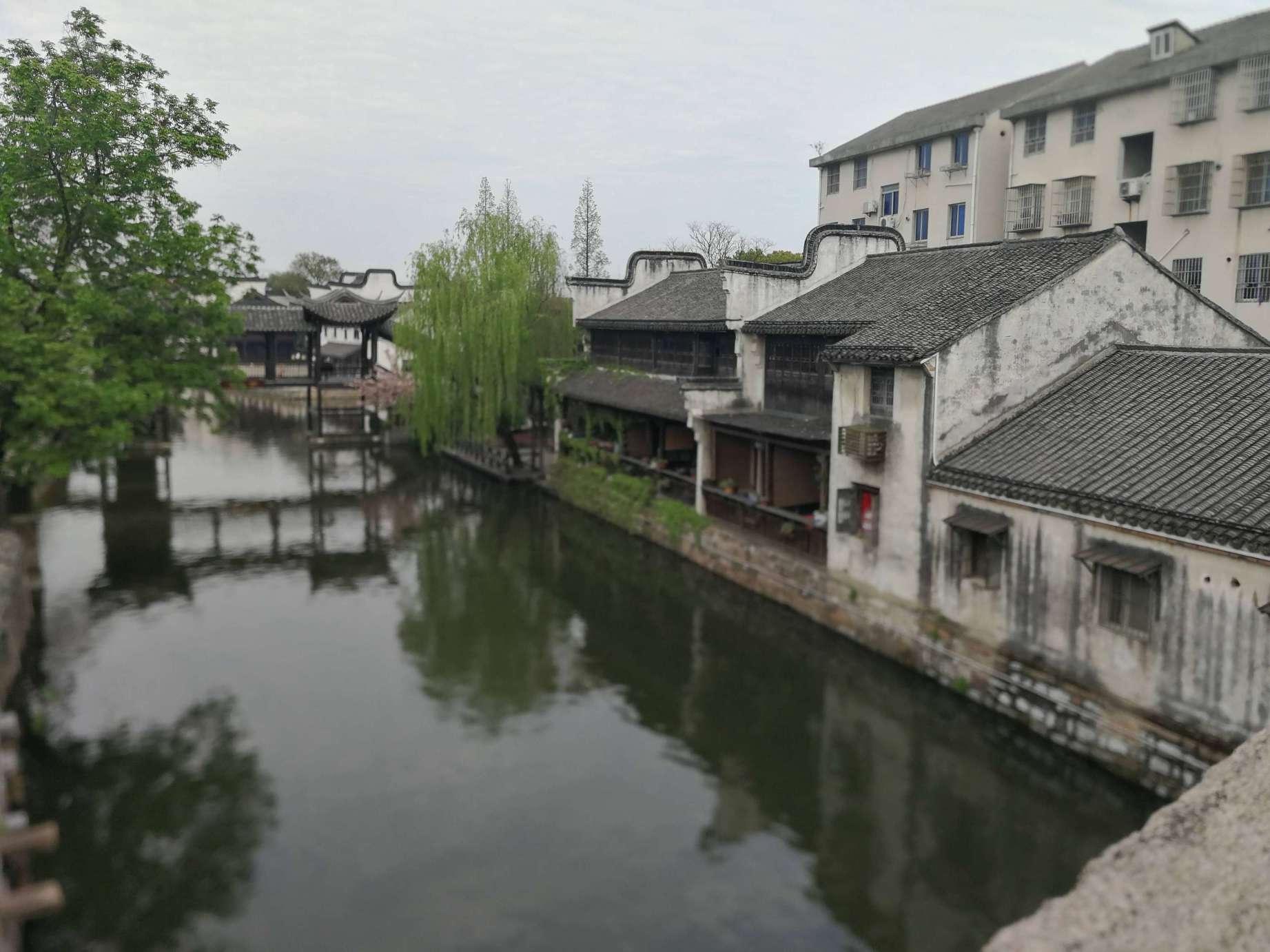 小猫钓鱼游戏龙王版有船