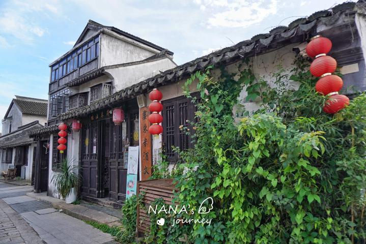 荆棘王座