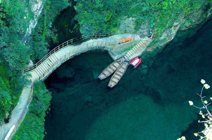 逗小猴开心系列211
